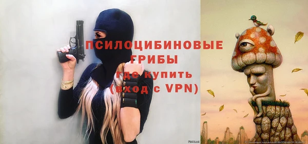 герыч Няндома