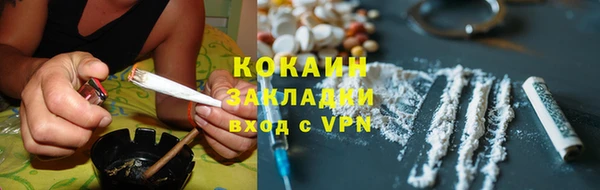 сатива Новокубанск