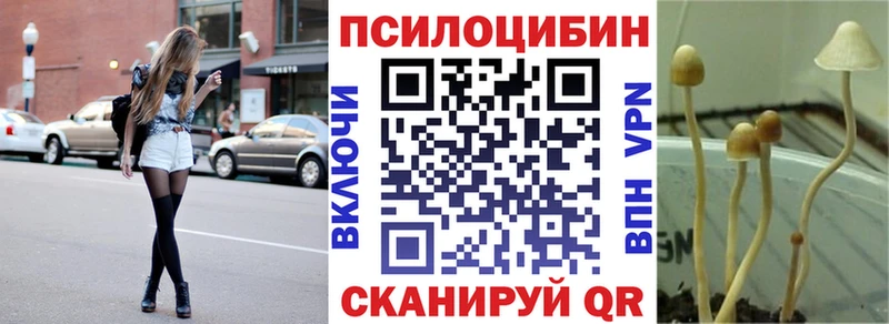 Купить закладки  Коломна  Галлюциногенные грибы Cubensis 